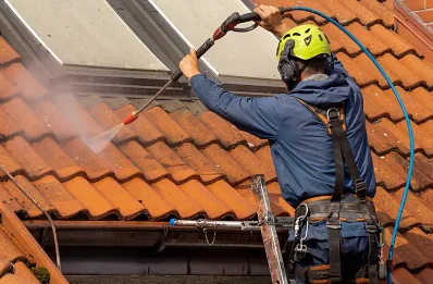 Démoussage et hydrofuge de toiture à Ris